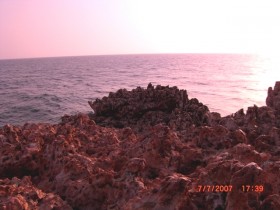 صور من ابداع اعضاء عمان فوتو