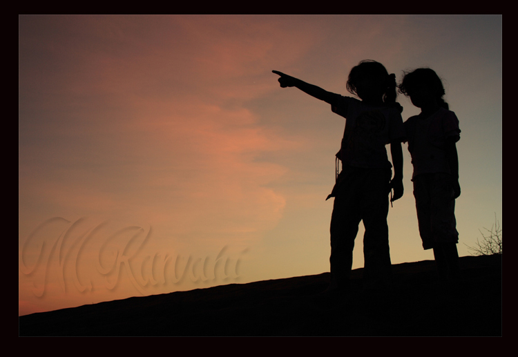 صور من ابداع اعضاء عمان فوتو