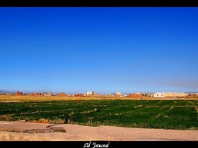 صور من ابداع اعضاء عمان فوتو