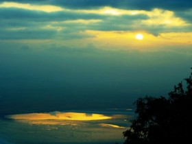 صور من ابداع اعضاء عمان فوتو