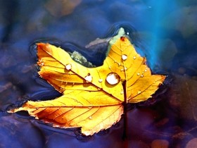 صور منوعة من الإنترنت