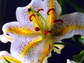 صور منوعة من الإنترنت