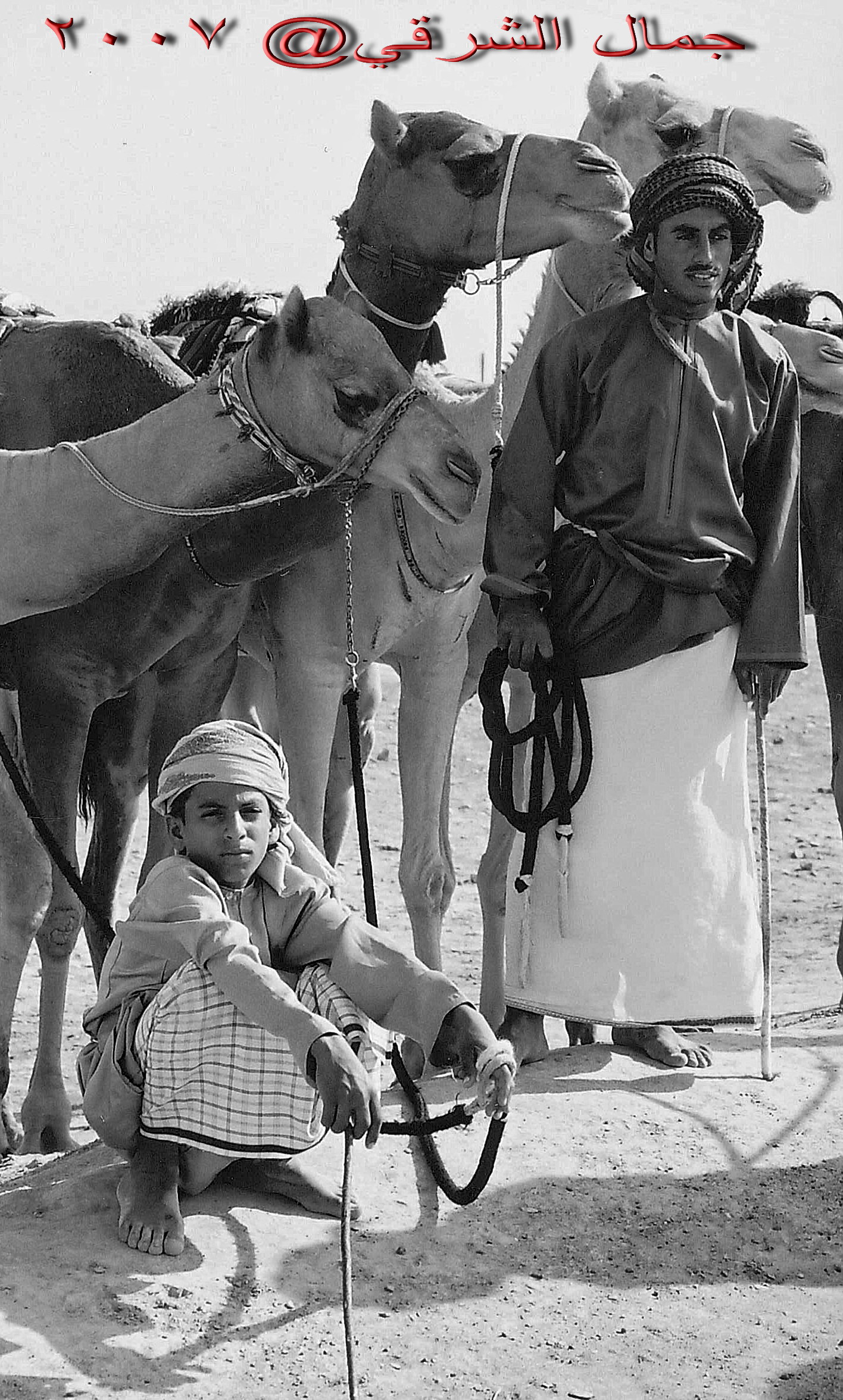 صور من ابداع اعضاء عمان فوتو