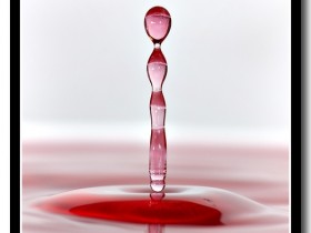 صور من ابداع اعضاء عمان فوتو