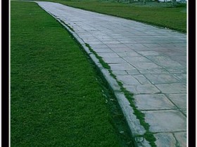 صور من ابداع اعضاء عمان فوتو