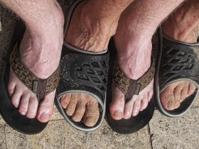 صور منوعة من الإنترنت