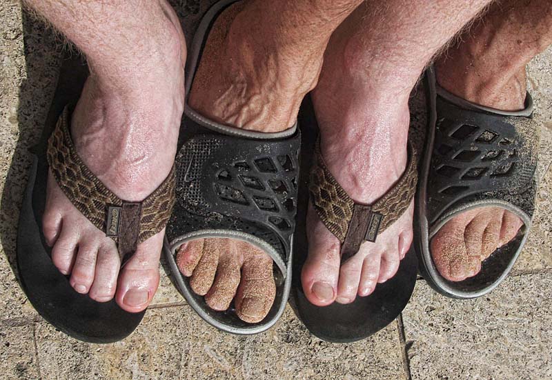 صور منوعة من الإنترنت
