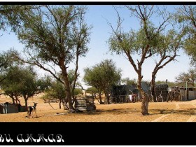 صور من ابداع اعضاء عمان فوتو