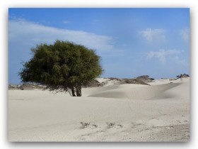 صور من ابداع اعضاء عمان فوتو