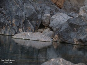 مـــــــــــــــــاء
