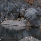 مـــــــــــــــــاء