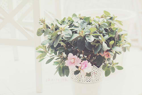 tumblr_lsqjz4sVPF1qcdkxho1_5500