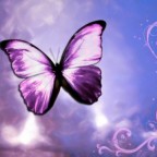 Butterfly Wallpaper