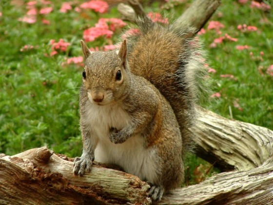 كأنه يدور شي مب لاقيه !!!