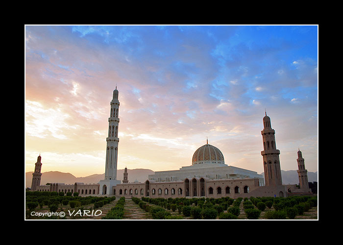صور من ابداع اعضاء عمان فوتو