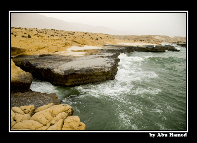صور من ابداع اعضاء عمان فوتو