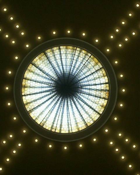 صور منوعة من الإنترنت