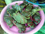thai-market-ujra_small