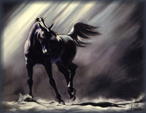 B-horse