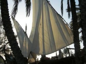 صور من ابداع اعضاء عمان فوتو
