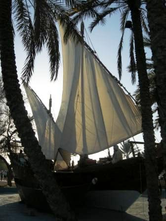 صور من ابداع اعضاء عمان فوتو