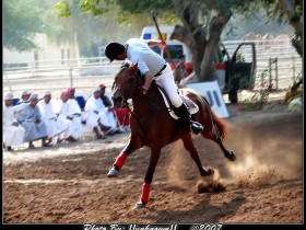 صور من ابداع اعضاء عمان فوتو