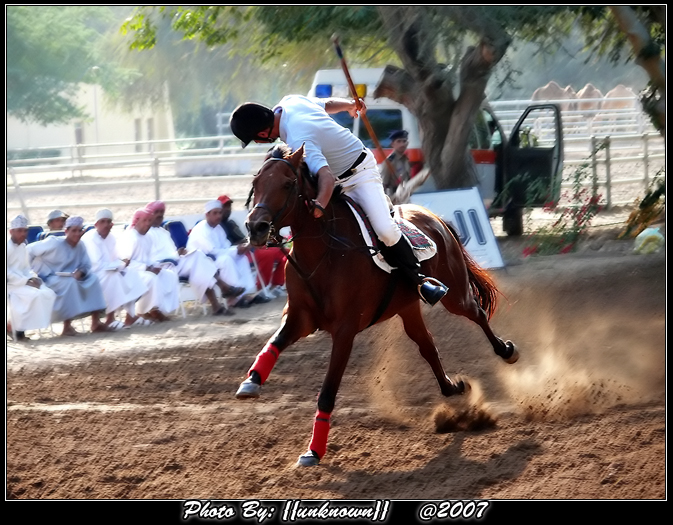 صور من ابداع اعضاء عمان فوتو
