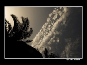 صور من ابداع اعضاء عمان فوتو