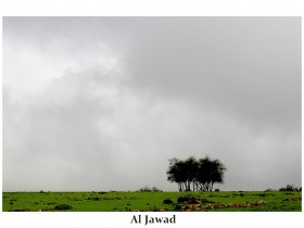 صور من ابداع اعضاء عمان فوتو