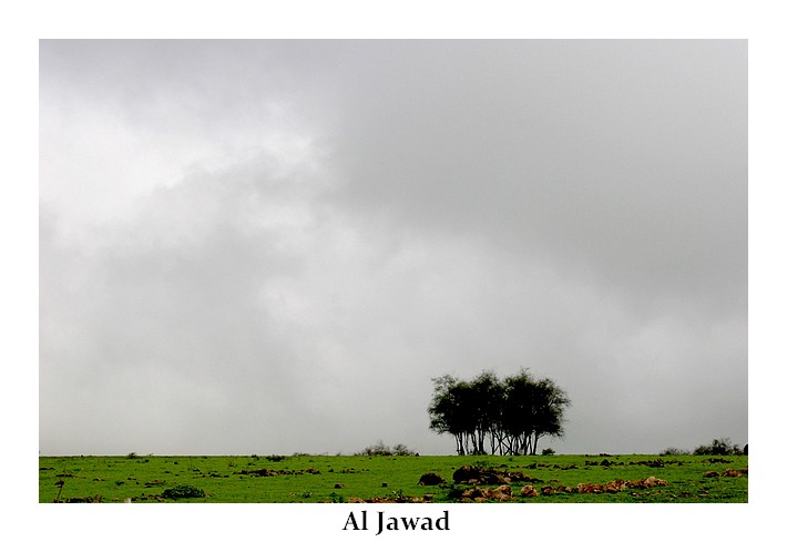 صور من ابداع اعضاء عمان فوتو