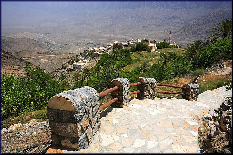 صور من ابداع اعضاء عمان فوتو