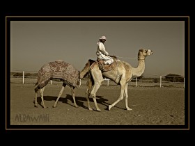 صور من ابداع اعضاء عمان فوتو