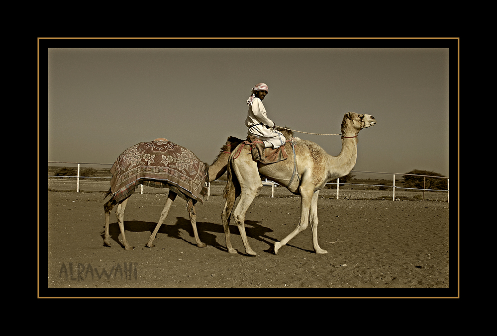 صور من ابداع اعضاء عمان فوتو