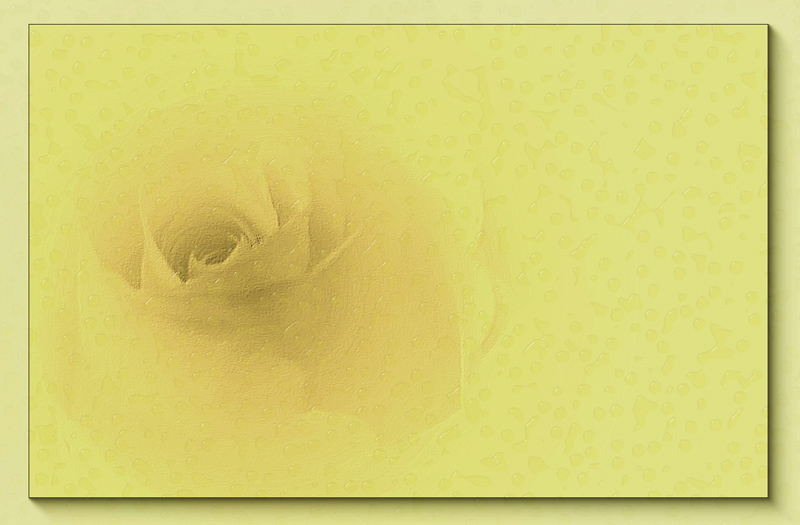 صور منوعة من الإنترنت