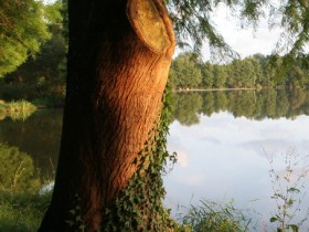 صور منوعة من الإنترنت
