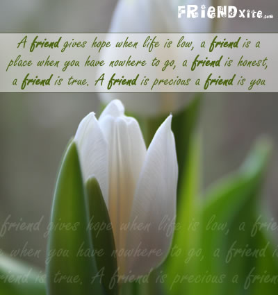 True Friends card 3