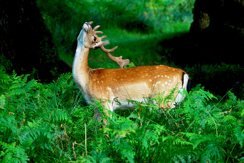 صور منوعة من الإنترنت