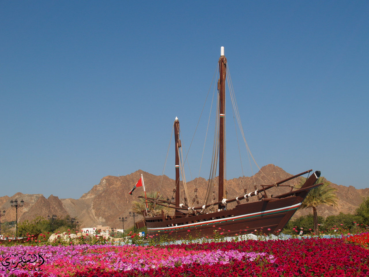 السفينة صحار