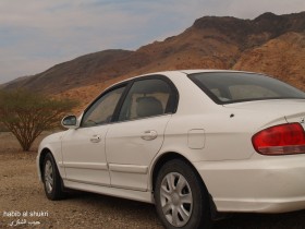 سوناتا