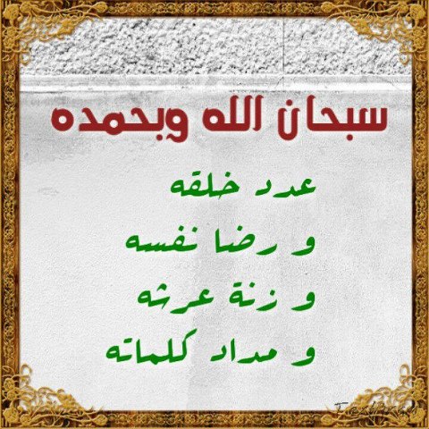 486069_10151479764199939_1886193602_n