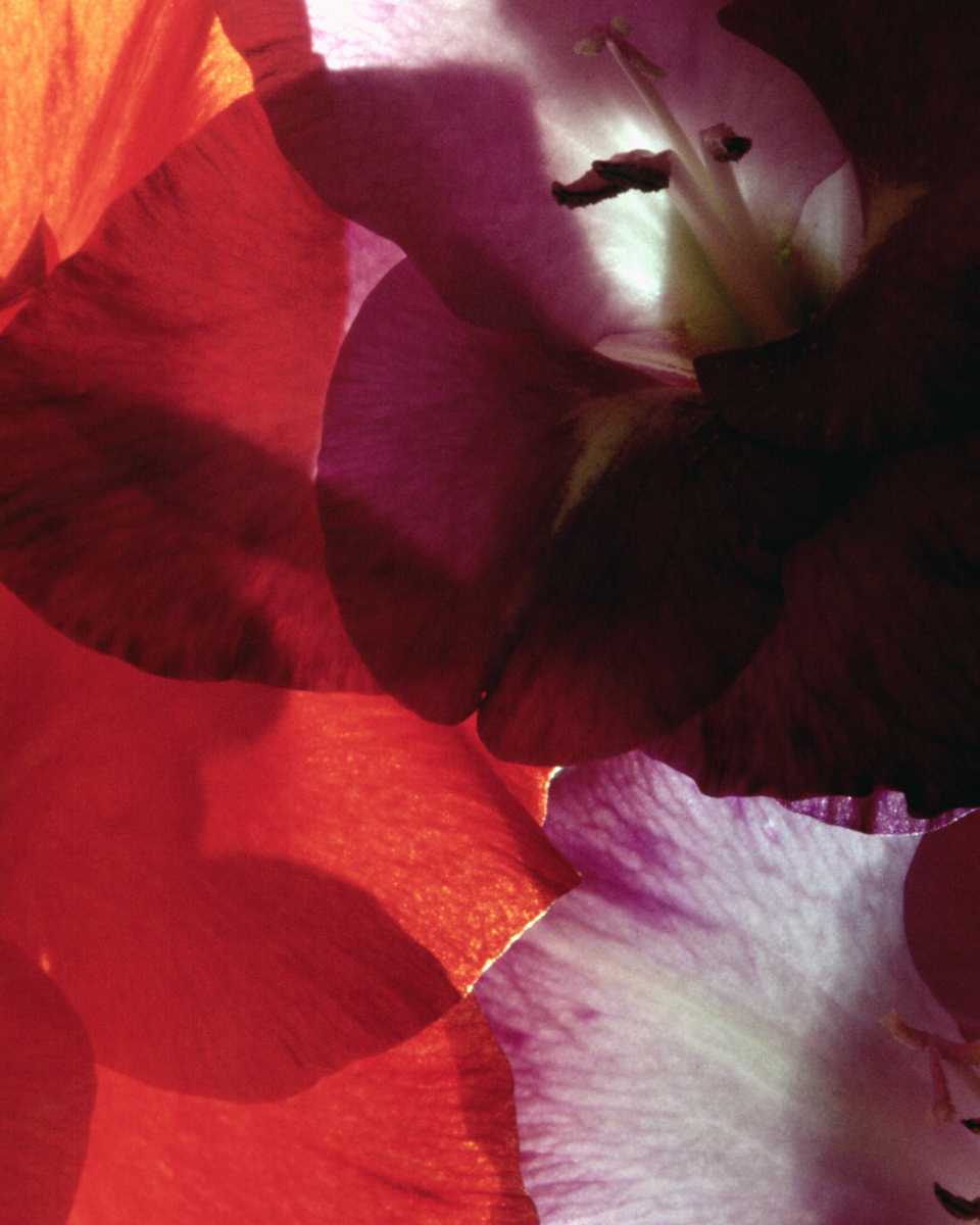 PTBL0064