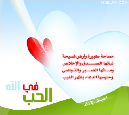 user3989_pic279_1215691355_-_Copy