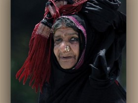 صور من ابداع اعضاء عمان فوتو