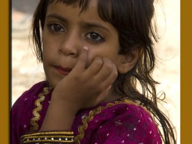 صور من ابداع اعضاء عمان فوتو