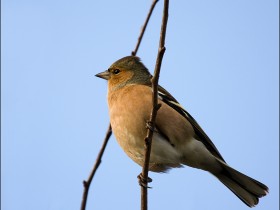صور منوعة من الإنترنت