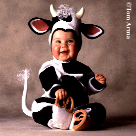 Cow