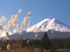 FUJI