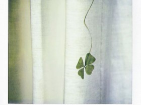 lucky_morning_by_prismopola