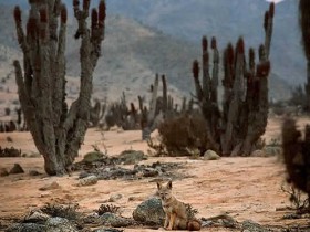 2045243189_96b0eb7e65_1_