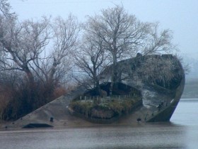 187485762197687074_1_